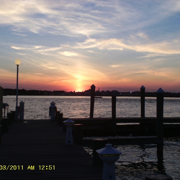 Meet your Posher, Connie - Picture 3 of 3